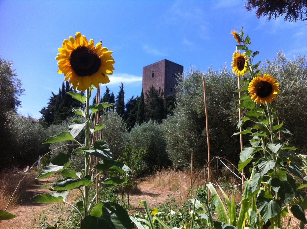 Torre Dei Belforti Montecatini Val di Cecina Exteriér fotografie